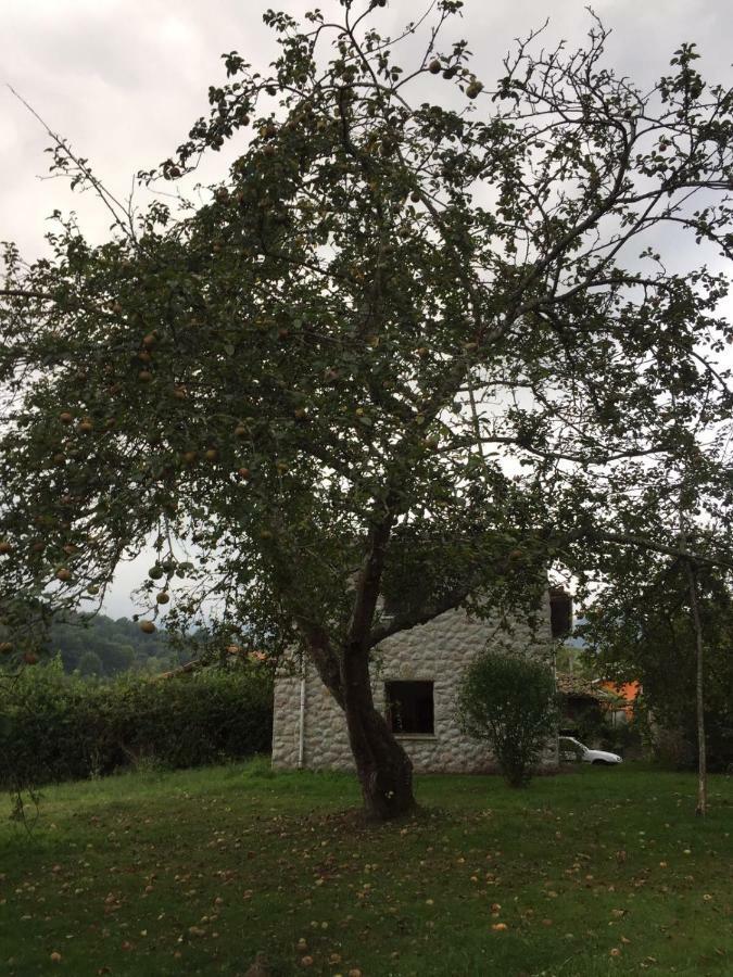 Flor De Pomar Holiday home *
