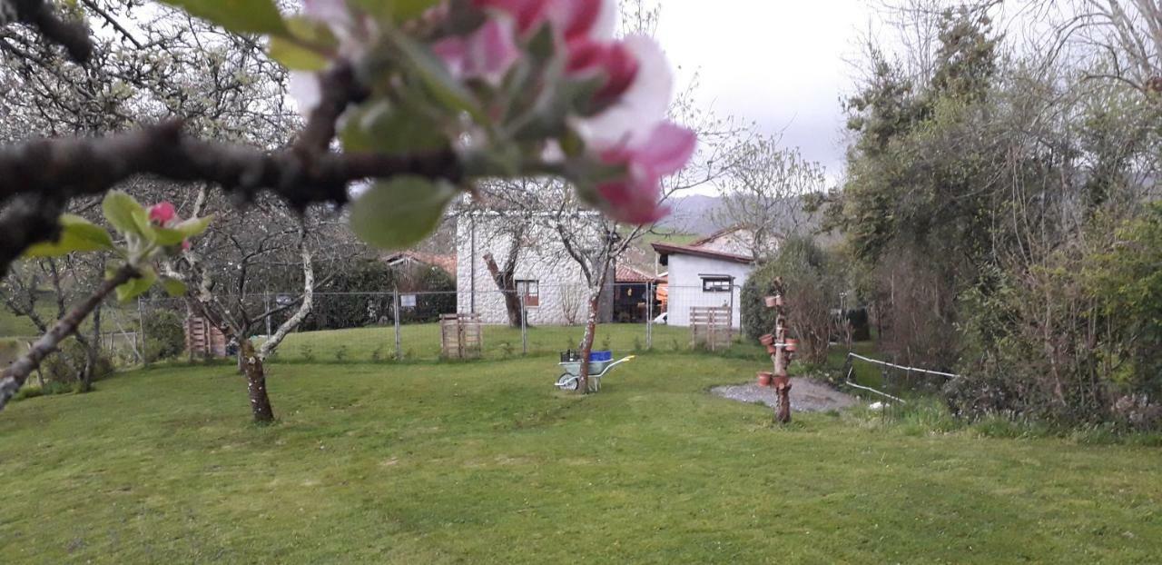 Flor De Pomar Holiday home Corao