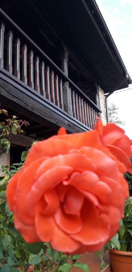 Flor De Pomar Holiday home