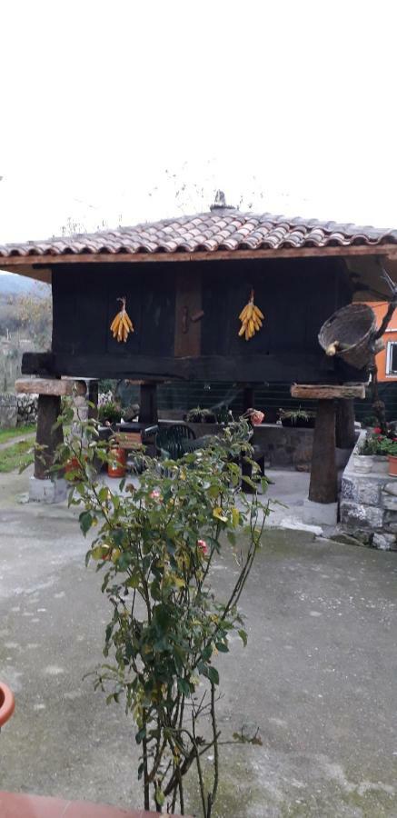 Flor De Pomar Holiday home