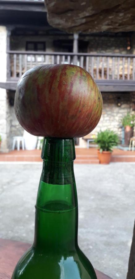 Flor De Pomar Holiday home Corao